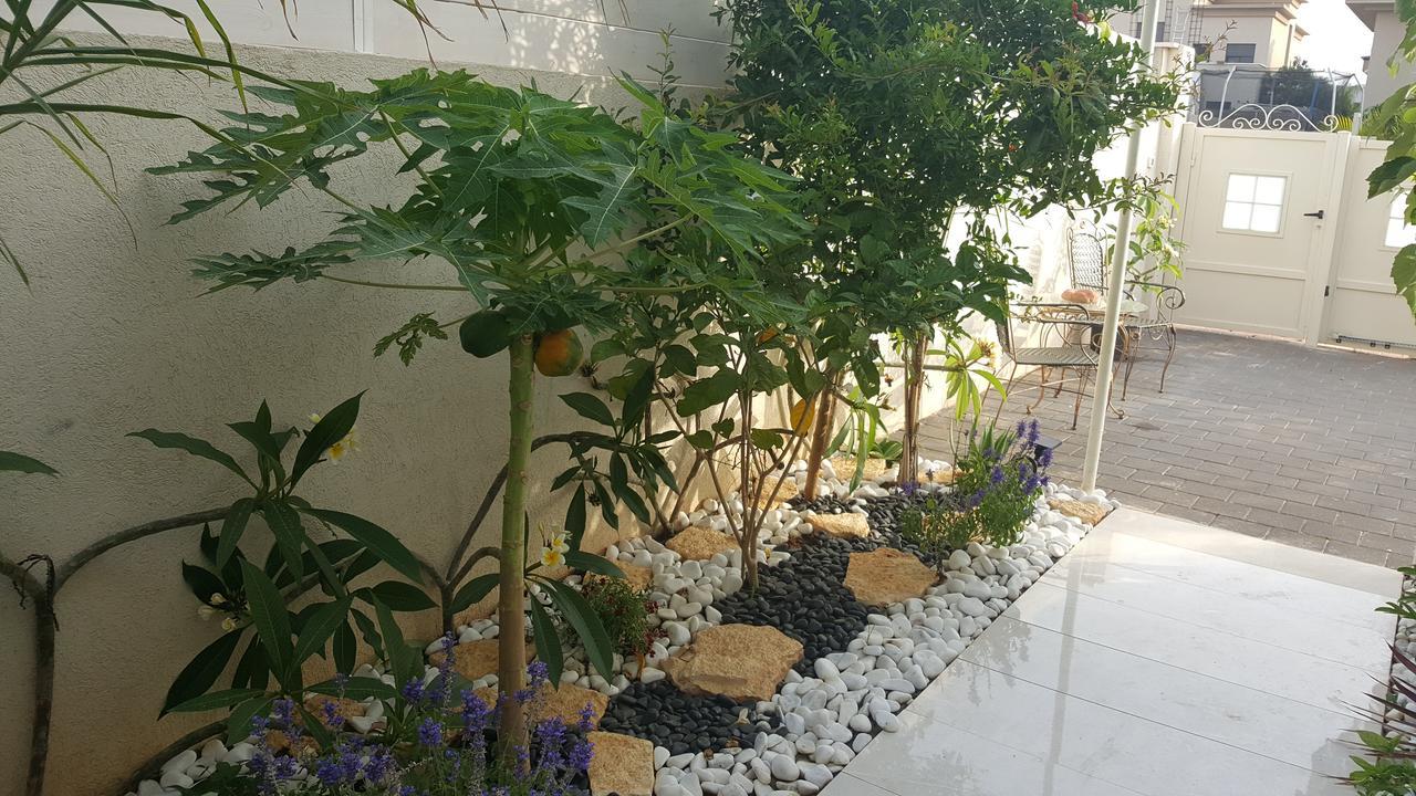 Regina'S Place Or Akiva Bagian luar foto